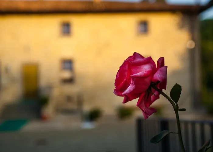 Farm Agriturismo La Luna ファームステイ サンタ・ソフィーア