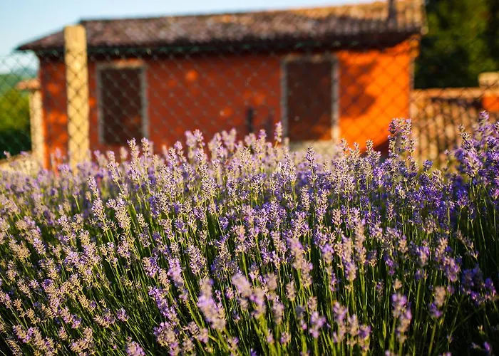 Farm Agriturismo La Luna ファームステイ サンタ・ソフィーア