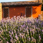 Farm Agriturismo La Luna Фермерский дом Санта-София