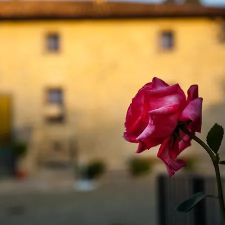 Farm Agriturismo La Luna Feriegård Santa Sofia
