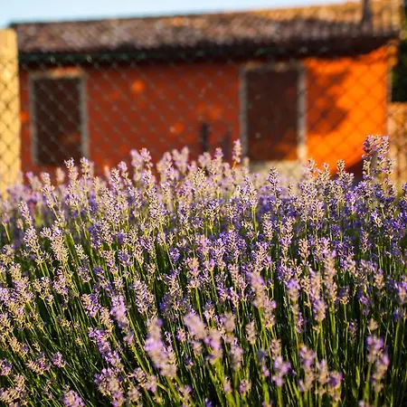Farm Agriturismo La Luna Feriegård Santa Sofia