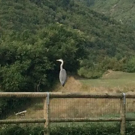 Farm Agriturismo La Luna