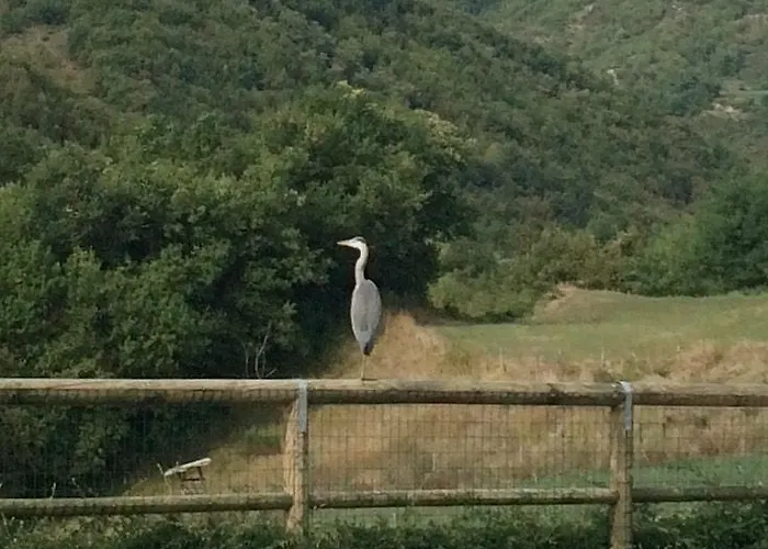 Farm Agriturismo La Luna